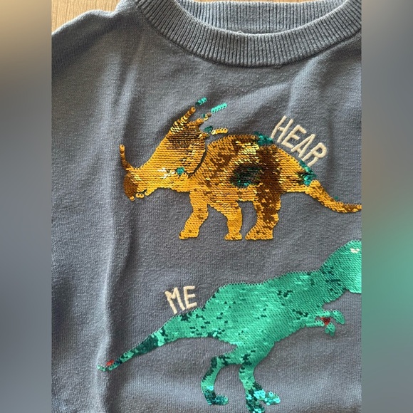 Bundle of h&m boy sweater and sweatshirt - Picture 4 of 8